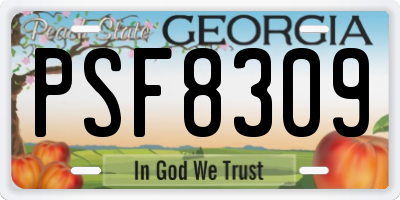 GA license plate PSF8309