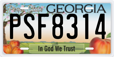 GA license plate PSF8314
