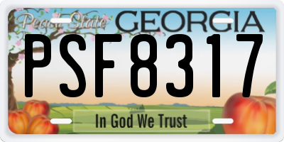 GA license plate PSF8317