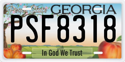 GA license plate PSF8318