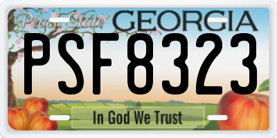 GA license plate PSF8323
