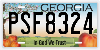 GA license plate PSF8324