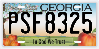 GA license plate PSF8325