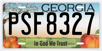 GA license plate PSF8327