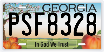 GA license plate PSF8328