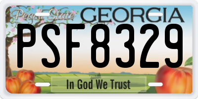 GA license plate PSF8329