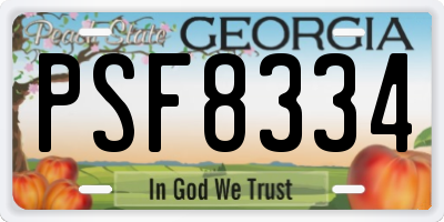 GA license plate PSF8334