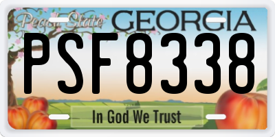 GA license plate PSF8338