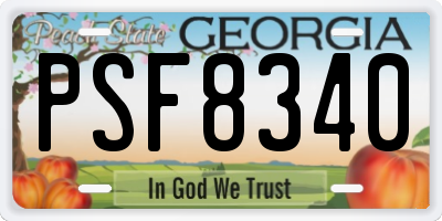 GA license plate PSF8340