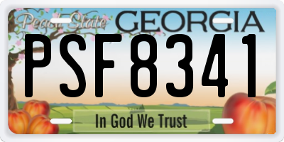 GA license plate PSF8341