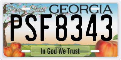 GA license plate PSF8343