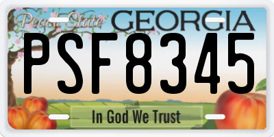 GA license plate PSF8345