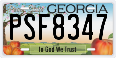 GA license plate PSF8347