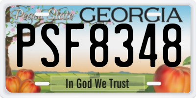 GA license plate PSF8348