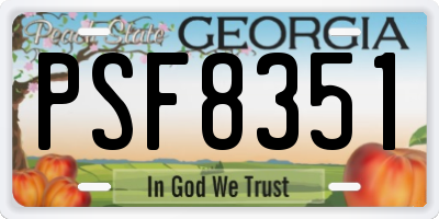 GA license plate PSF8351