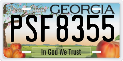 GA license plate PSF8355