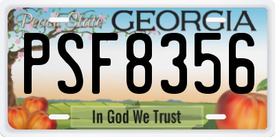 GA license plate PSF8356