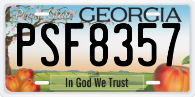 GA license plate PSF8357