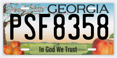 GA license plate PSF8358