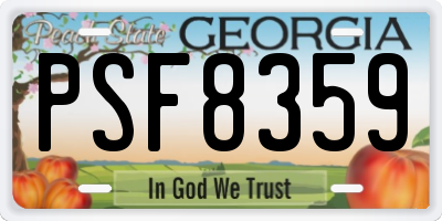 GA license plate PSF8359
