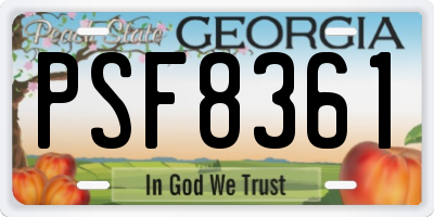 GA license plate PSF8361