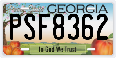 GA license plate PSF8362