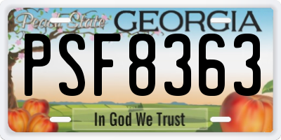 GA license plate PSF8363