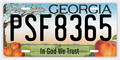 GA license plate PSF8365