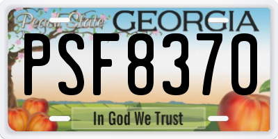 GA license plate PSF8370