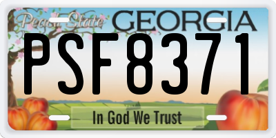 GA license plate PSF8371