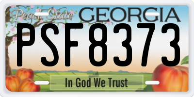 GA license plate PSF8373