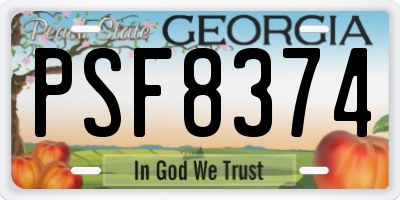 GA license plate PSF8374