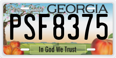 GA license plate PSF8375