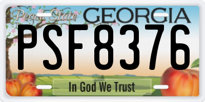 GA license plate PSF8376