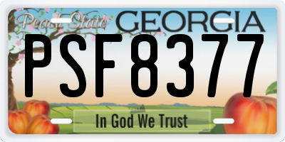 GA license plate PSF8377
