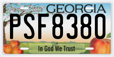 GA license plate PSF8380