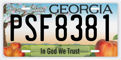 GA license plate PSF8381