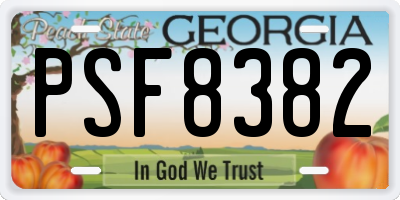 GA license plate PSF8382