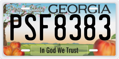 GA license plate PSF8383