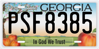 GA license plate PSF8385