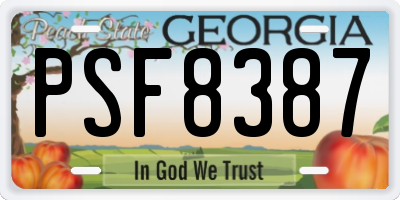 GA license plate PSF8387