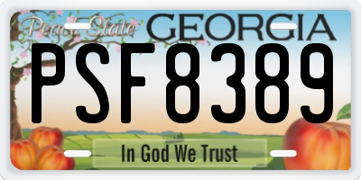 GA license plate PSF8389