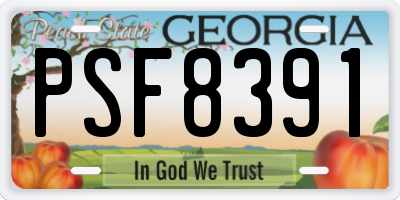 GA license plate PSF8391