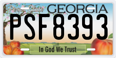 GA license plate PSF8393