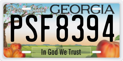 GA license plate PSF8394