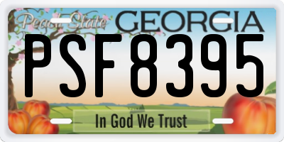 GA license plate PSF8395