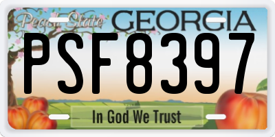 GA license plate PSF8397