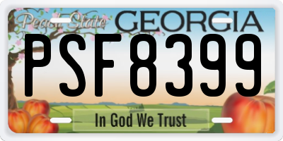 GA license plate PSF8399