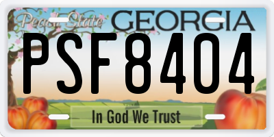 GA license plate PSF8404
