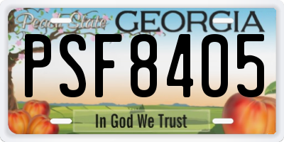 GA license plate PSF8405